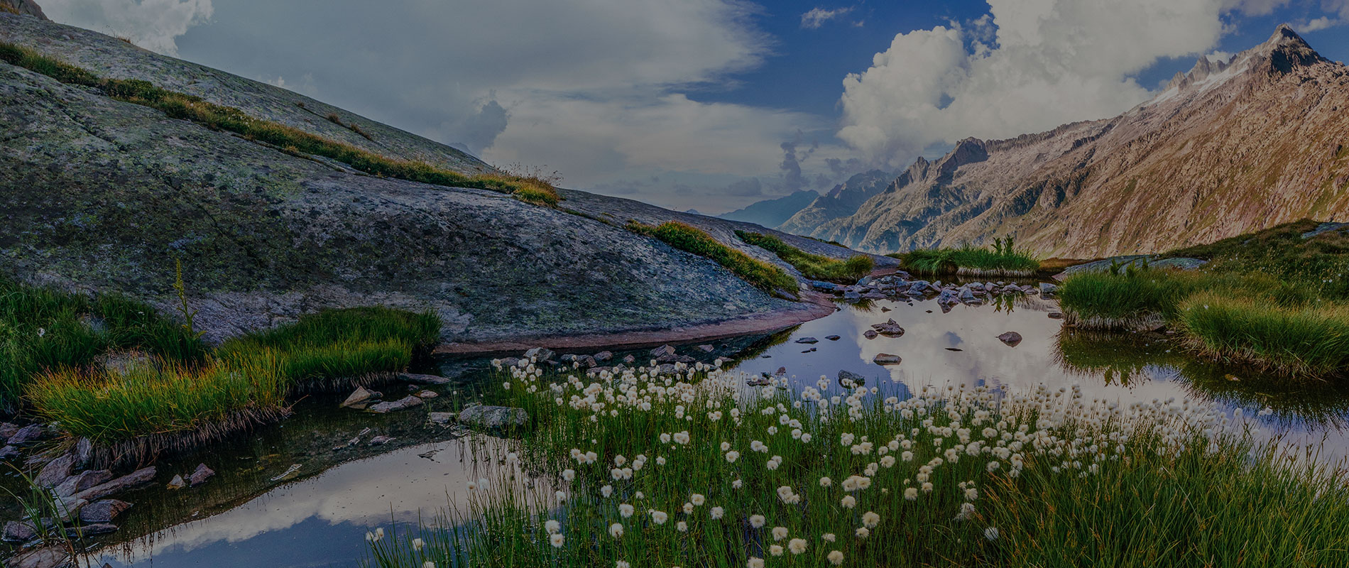 The International History Bee and Bowl European Division